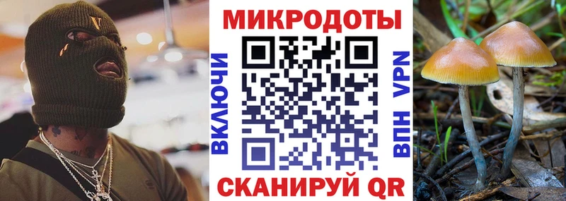 площадка состав Лаишево Псилоцибиновые грибы прущие грибы где можно купить наркотик